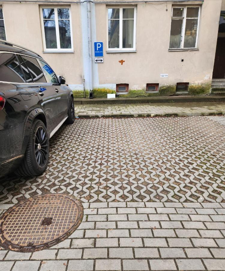 Happy Arka The Heart Of Old Town, Self-check-in, A-c, Car-parking, Balkony * Vilnius